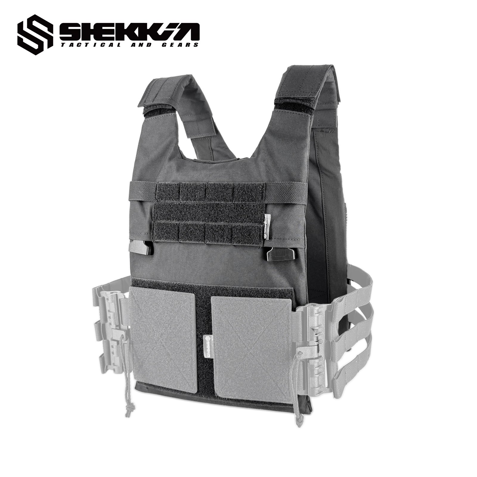 LV119 style Plate Carrier